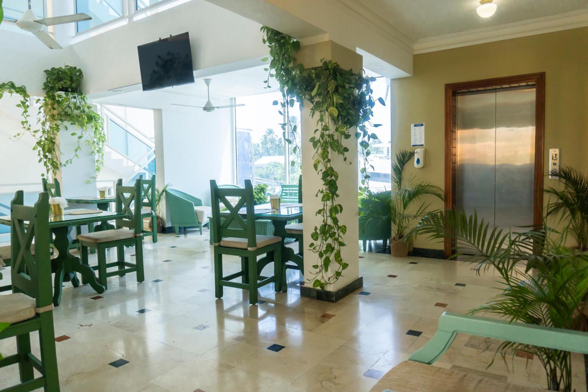 Green Coast Hotel Пунта Кана Екстериор снимка